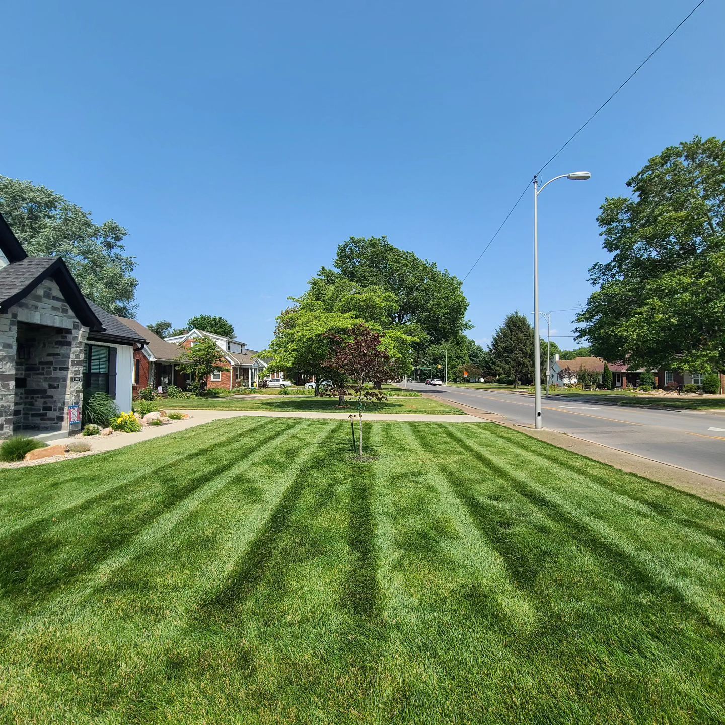 Lawn with freshly cut stripes in front of houses and road under a blue sky.