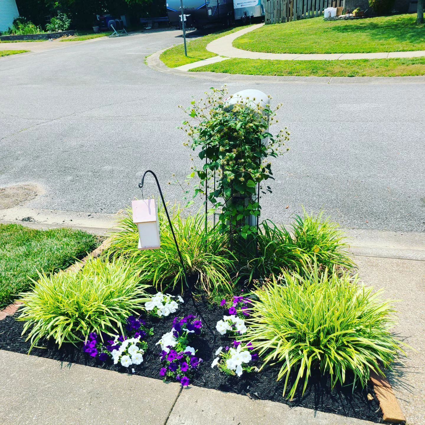Flower bed with plants and a birdhouse next to a street curb.