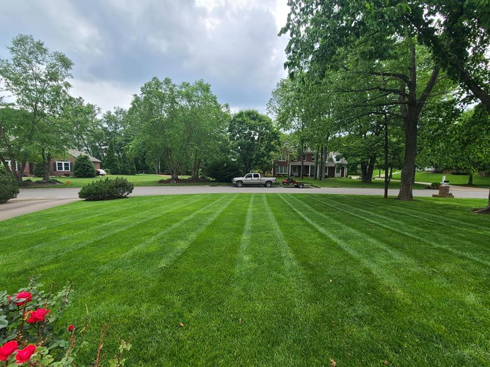 Lawn with distinct stripes leads to a neighborhood street on a cloudy day.