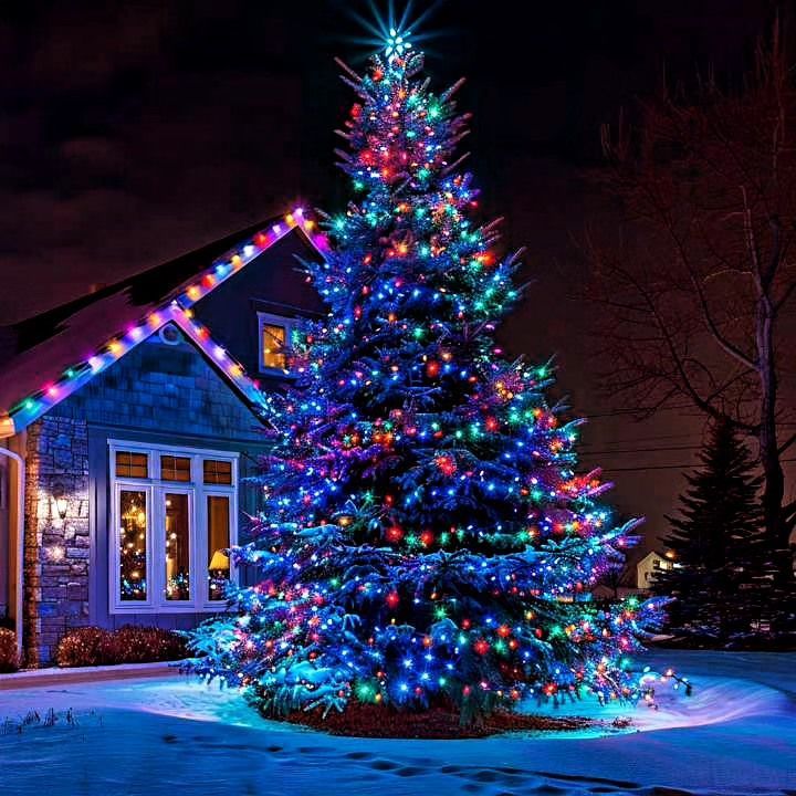 Christmas tree lit with colorful lights in front of a house at night, surrounded by snow.