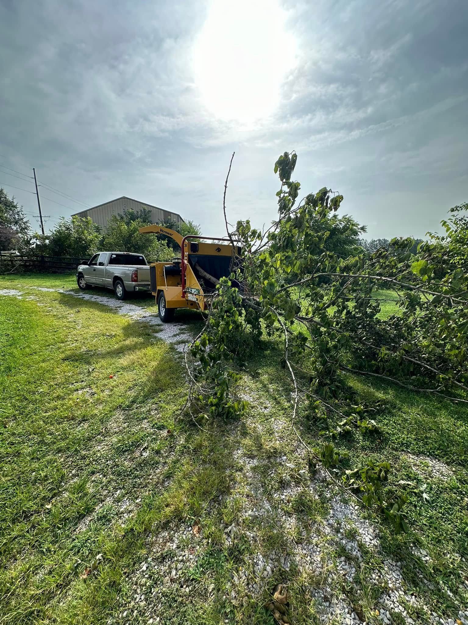 Truck with a wood chipper processing tree branches on a grassy lawn under a partly cloudy sky.