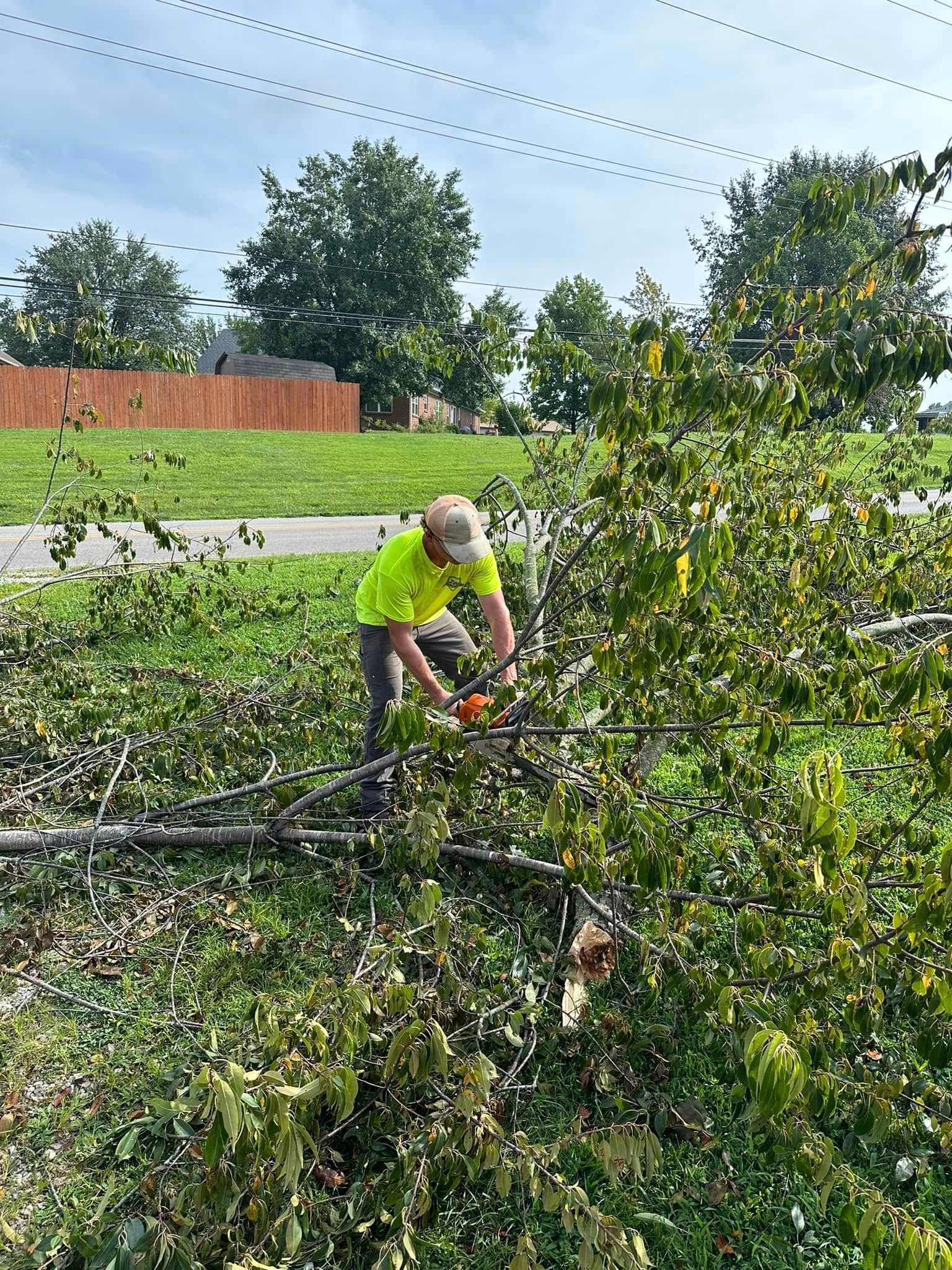 Person in neon shirt using chainsaw on fallen tree branches near a road.