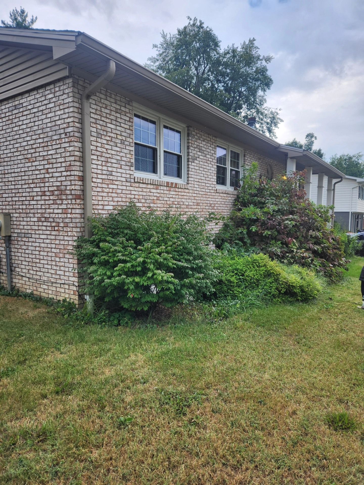 Brick house exterior with overgrown bushes and green lawn. Cloudy sky in the background.