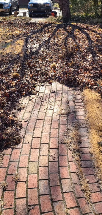 Brick pathway covered in leaves, leading toward trees and cars.