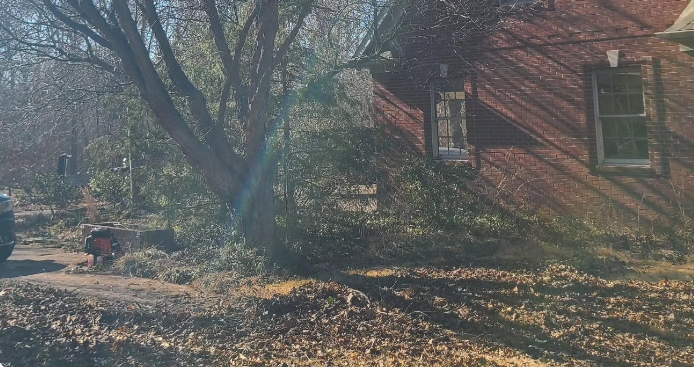 A brick building with two windows is partially obscured by trees and bushes. Sunlight and shadows are present.