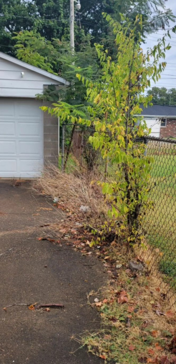 A driveway next to a garage with a chain link fence and a tree growing alongside it.