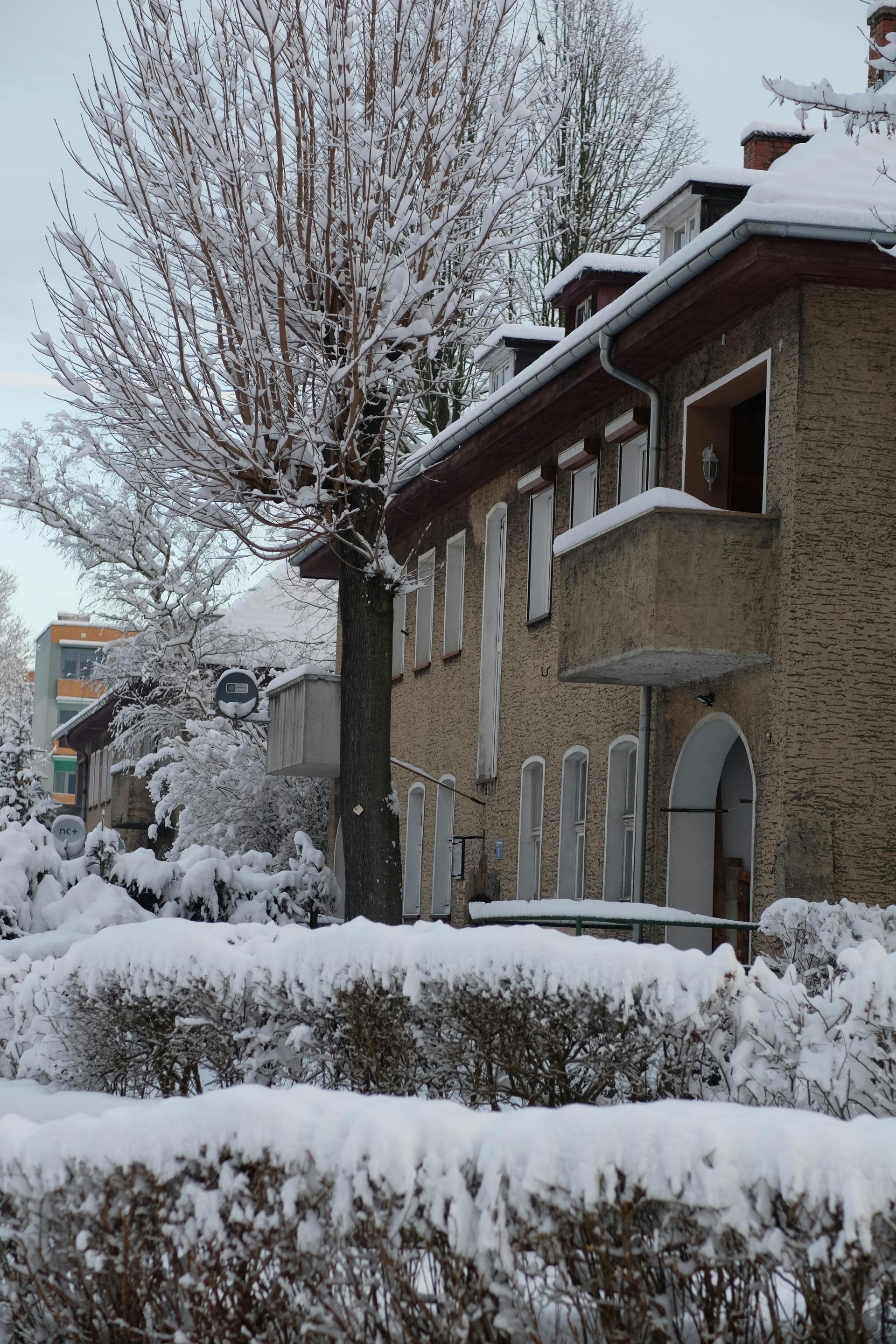 Snowy residential street with a house. A snow-covered tree and bushes are in the foreground.
