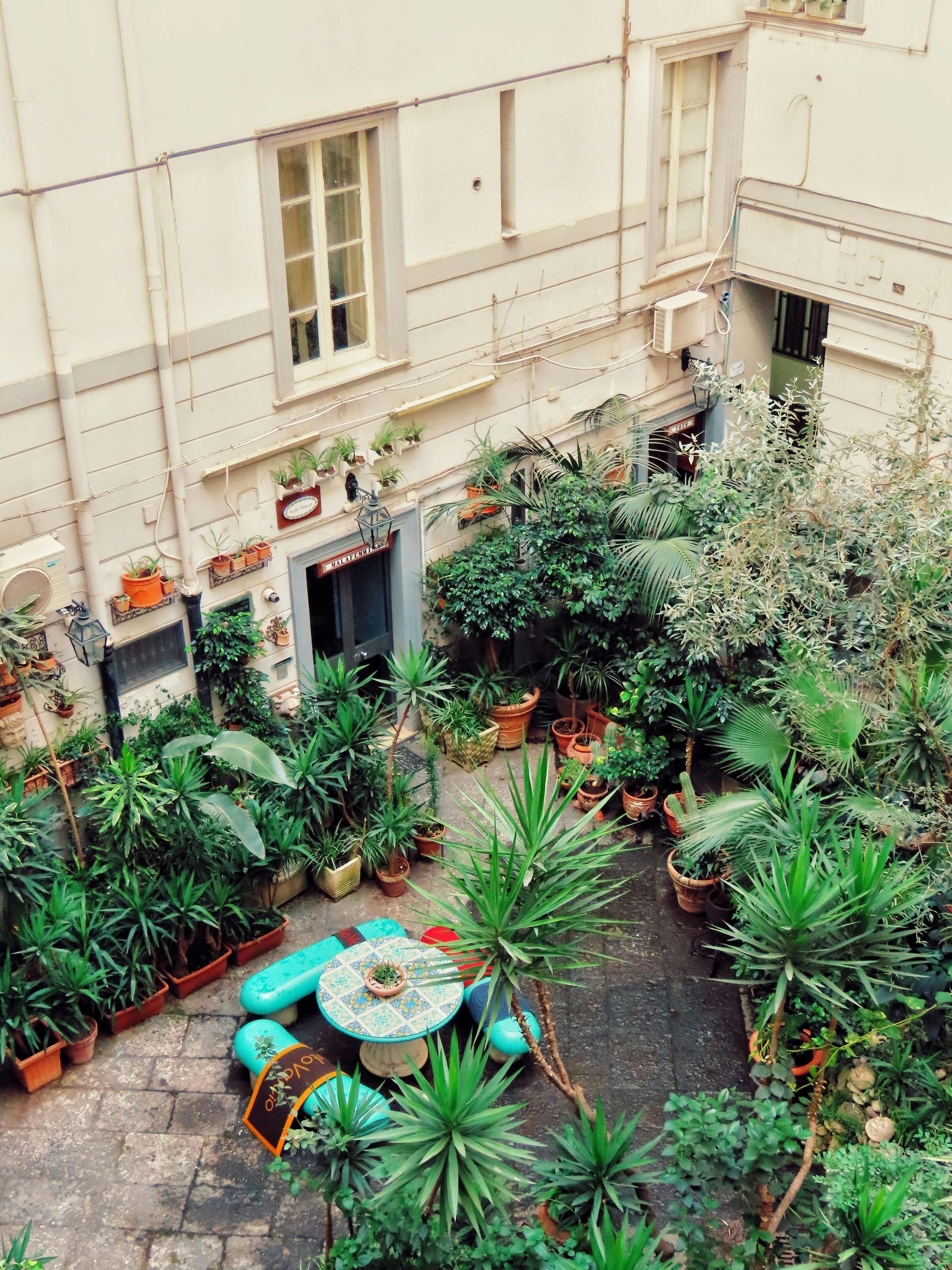Courtyard garden with plants, tables, and a building facade with windows.