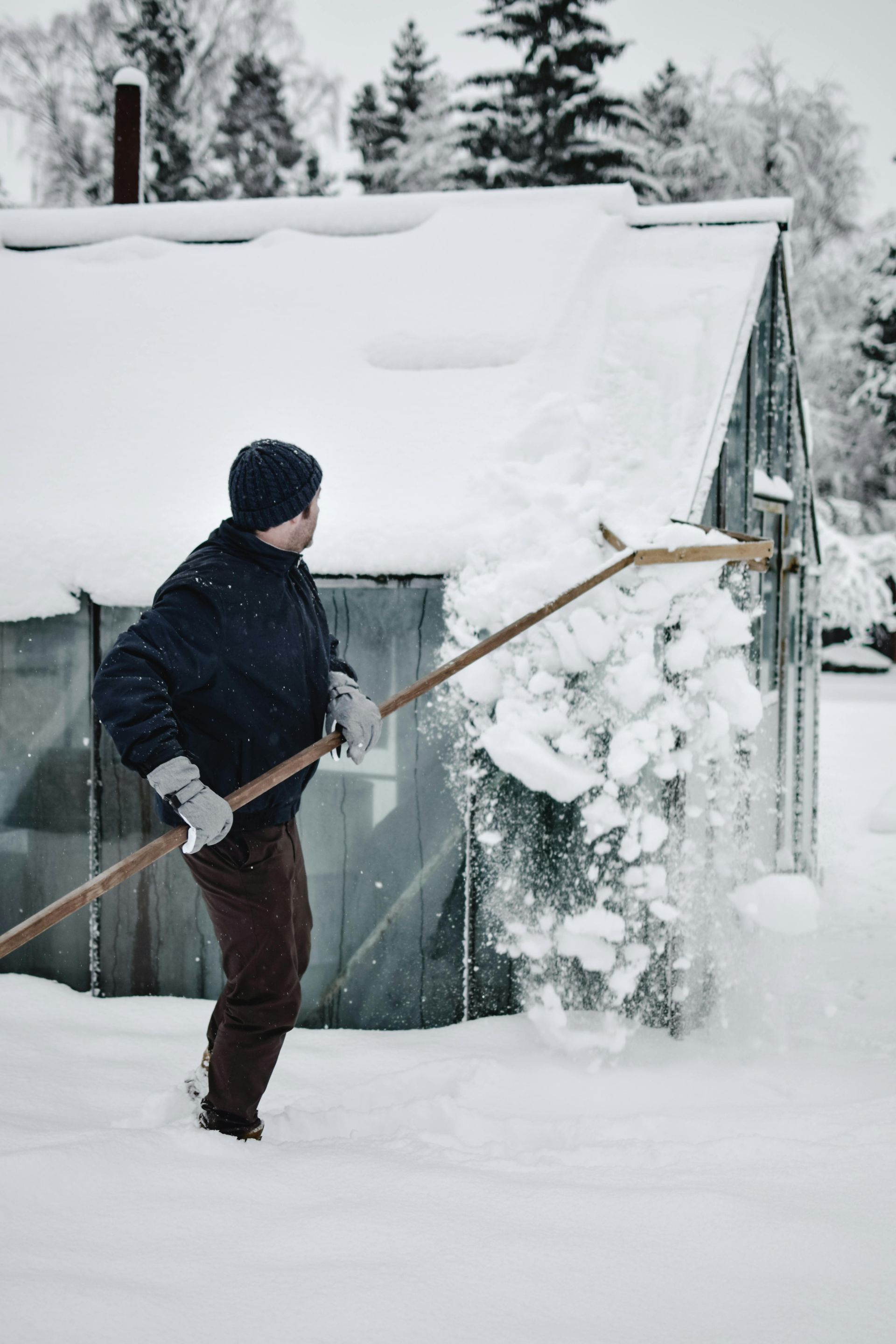 Person shoveling snow off of a greenhouse roof in a wintery setting.
