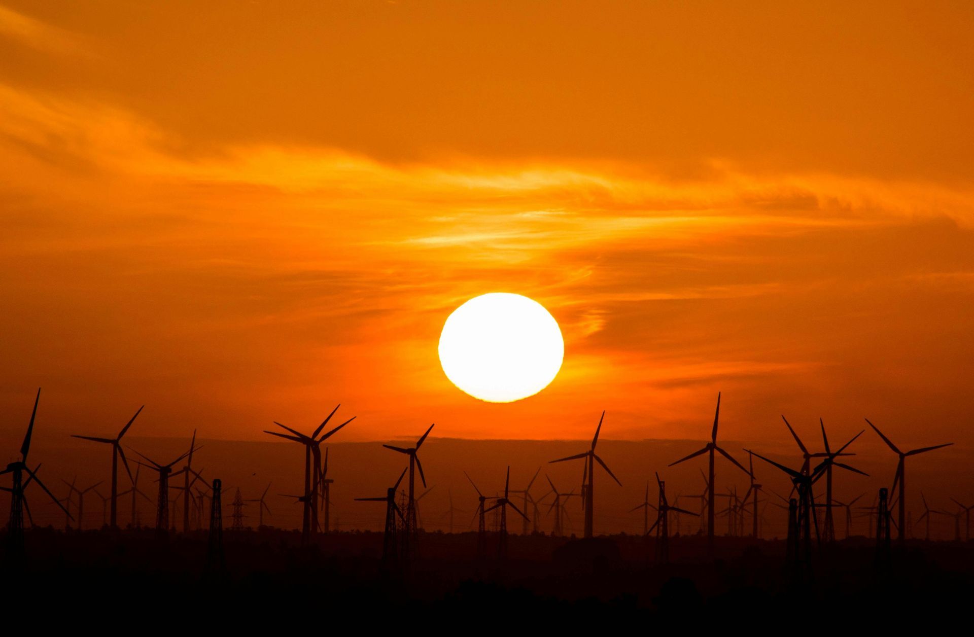 The sun is setting behind a field of windmills