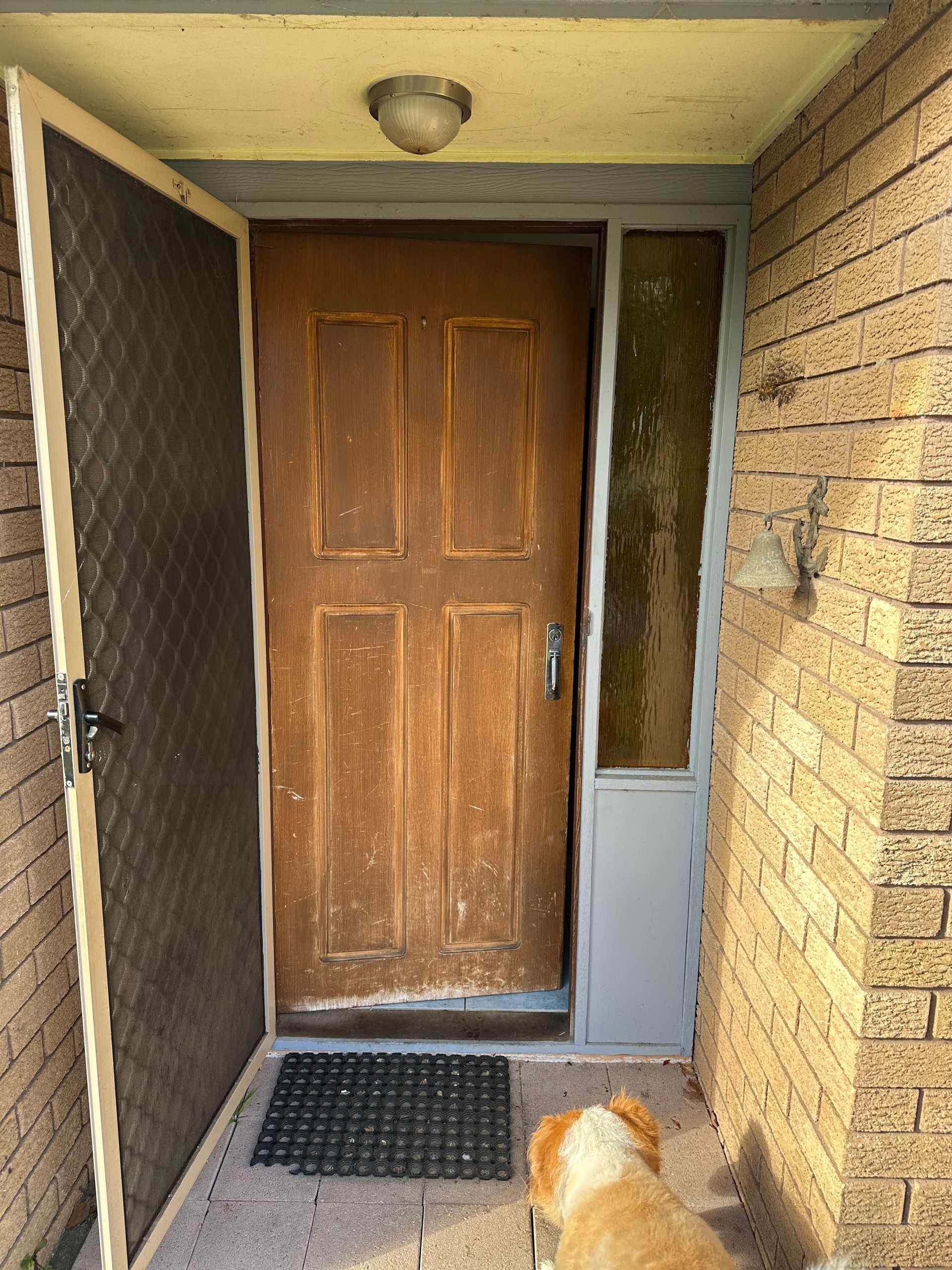 A weathered wooden front door with a metal screen door to the left, a side window, and a golden dog standing on the porch.