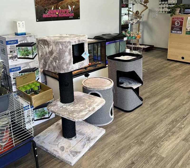A Pet Supply Store Interior With Cat Trees and Aquariums — Jonath’s Animal Kingdom in Salamander Bay, NSW
