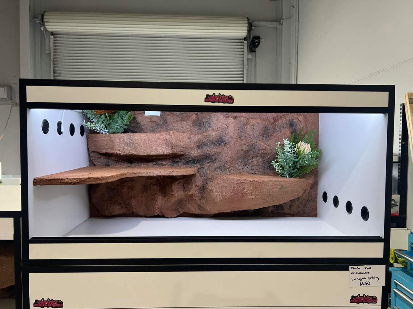 A Reptile Terrarium With a Layered Rock Background, Ledges, and Plants — Jonath’s Animal Kingdom in Salamander Bay, NSW