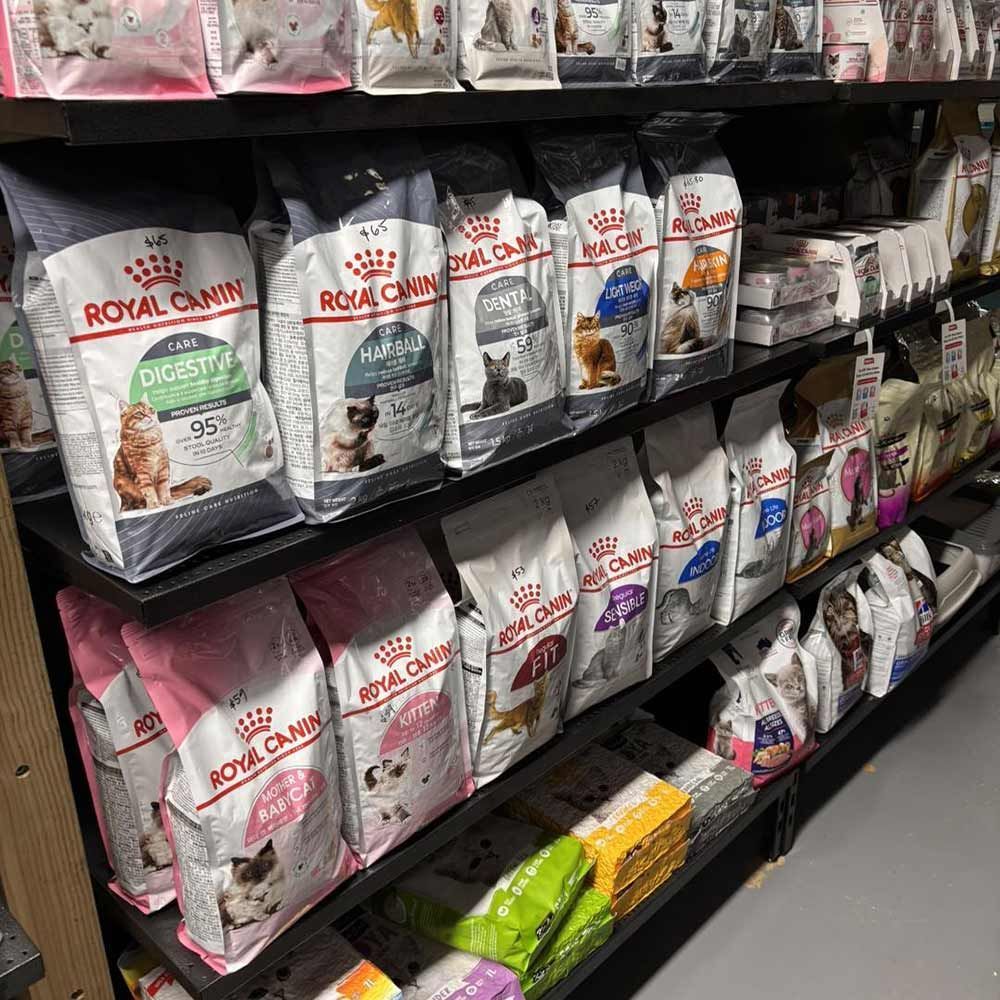 Shelves Stocked With Royal Canin Cat Food Bags in a Store — Jonath’s Animal Kingdom in Maitland, NSW