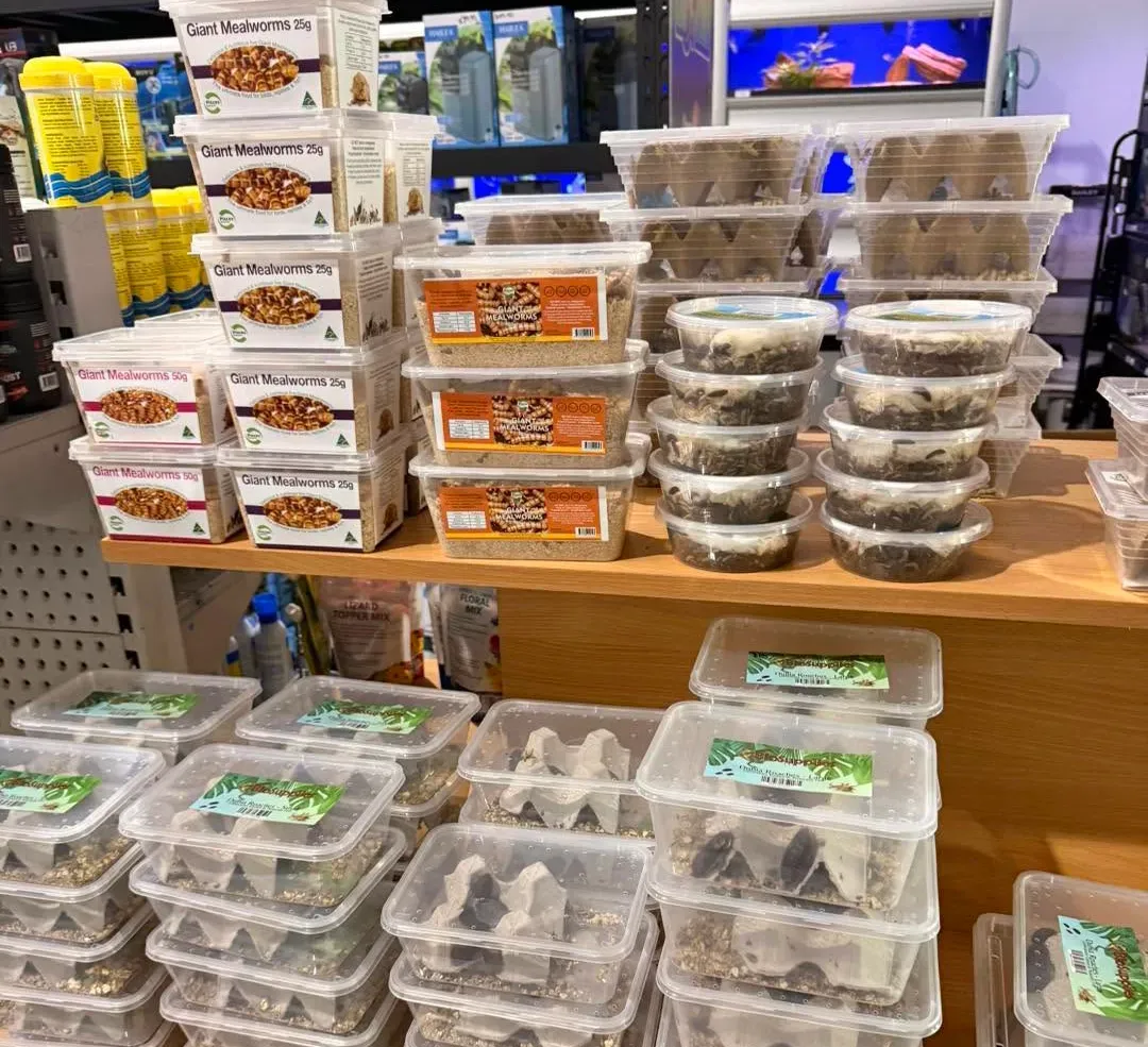 Shelves of Mealworms pet food at a Pet Store — Jonath’s Animal Kingdom in Beresfield, NSW