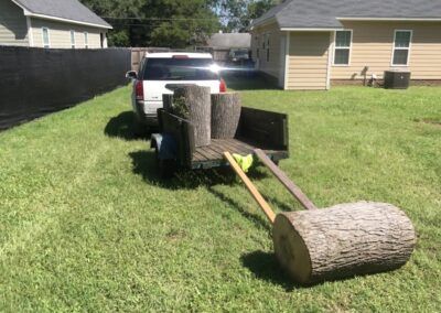 A truck towing a trailer carrying logs on a grassy lawn.