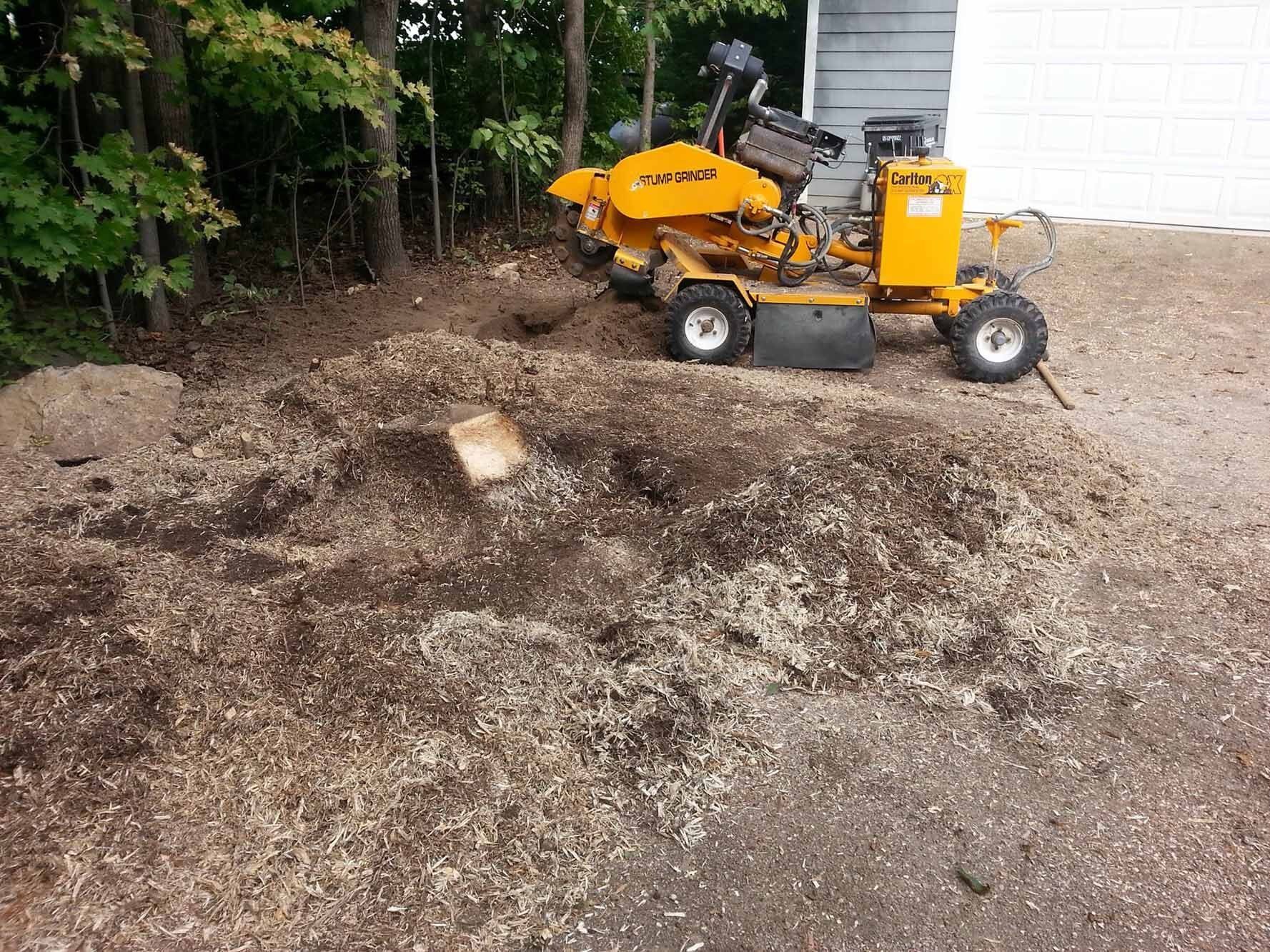 Removal Process of Tree Stump — Appleton, WI — Powerhouse Stumpin