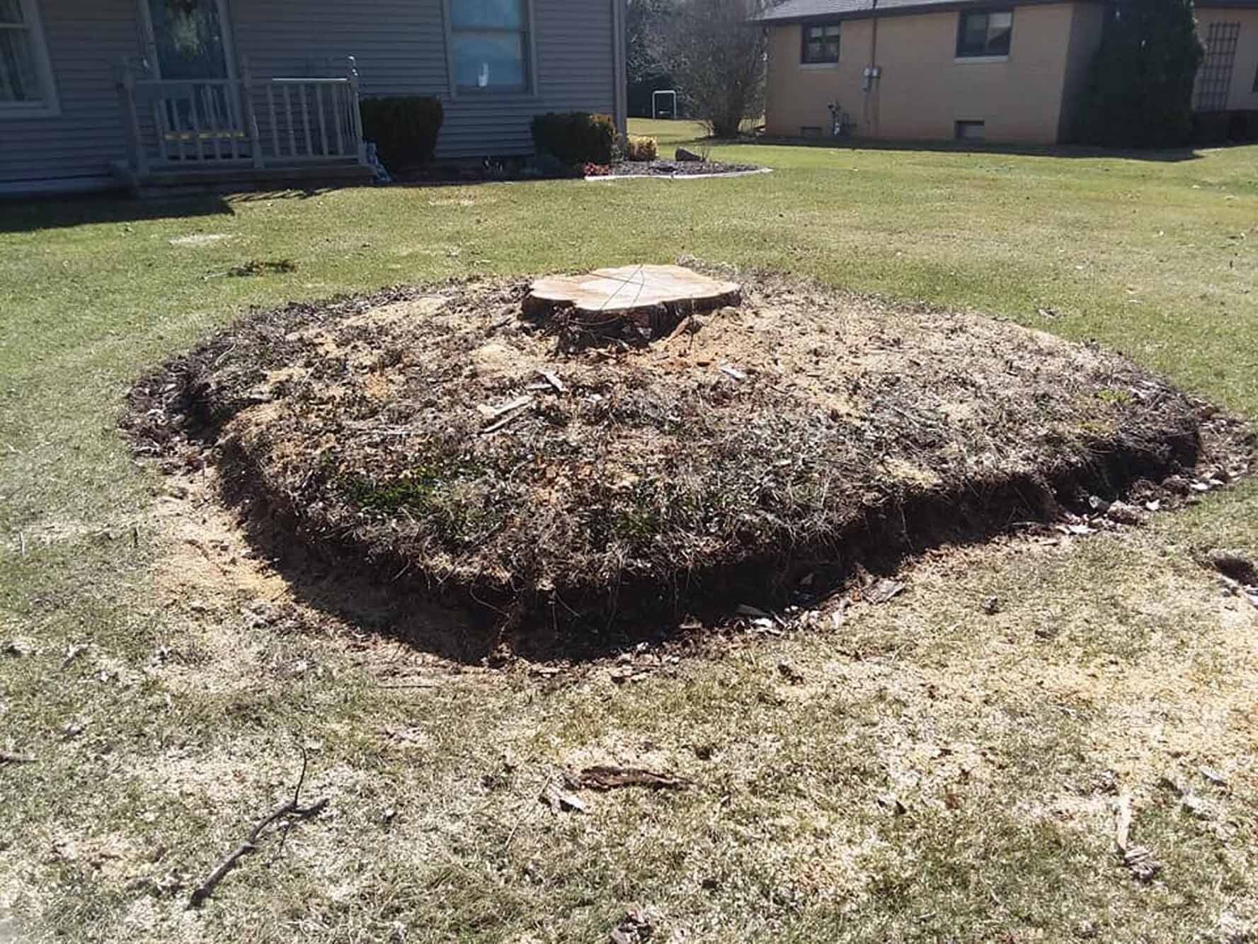 Huge Stump — Appleton, WI — Powerhouse Stumpin