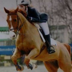 allieva durante una gara di salto ad ostacoli