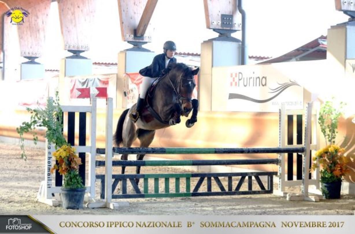 gara di salto ad ostacoli