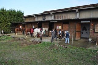 ragazzi del circolo con i cavalli