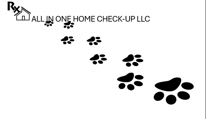 Poop happens, so we're turning Doo-ties into clean yards!! Because every step should be a clean one, while we pick up what your dog puts down your yard stays clean. It's okay! poop happens.
