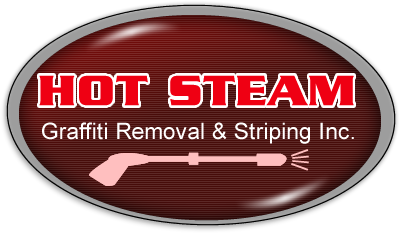 Hot Steam Power Wash