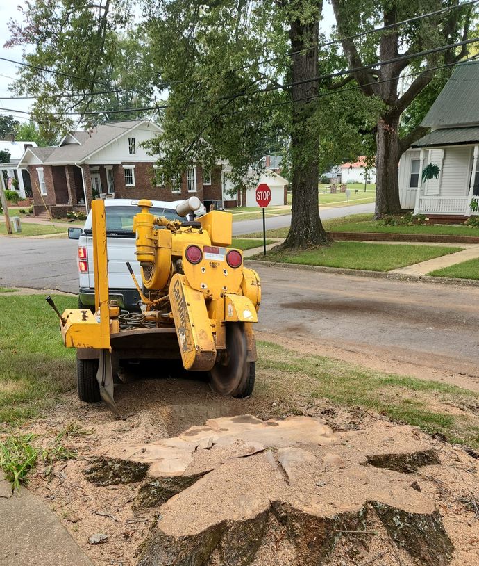 A yellow stump grinder is sitting next to a tree stump.