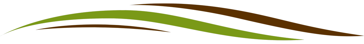 Abstract green and brown swooshing lines on a white background