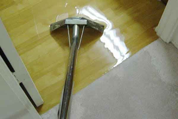 Carpet cleaner on a hardwood floor beside a white carpet and doorway