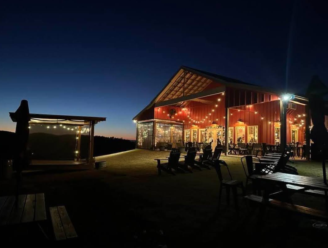 Vinyard at Night