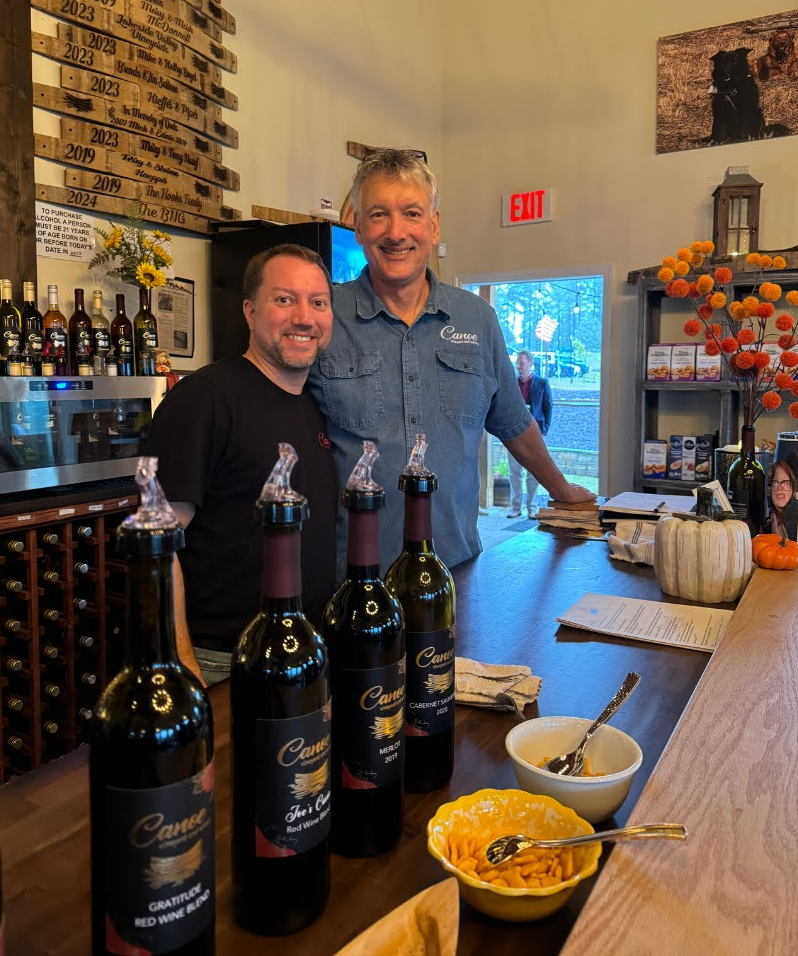 Group of Person With Glasses of Wine