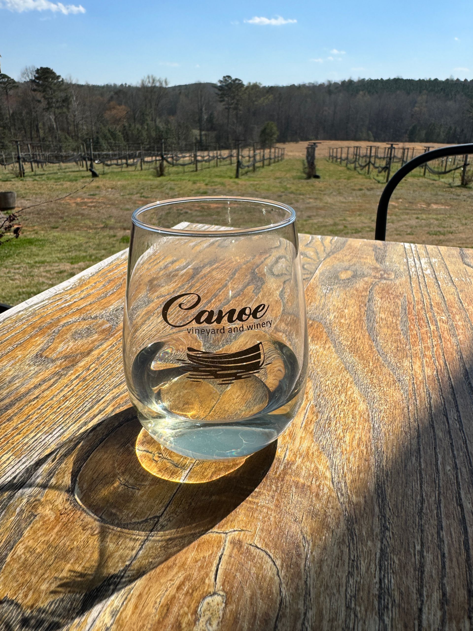 Person Holding a Glass of Wine