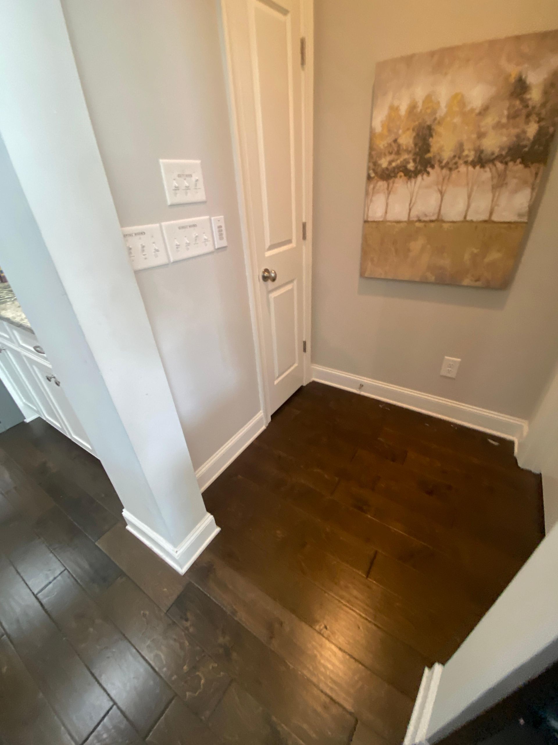 A hallway with hardwood floors and a painting on the wall.
