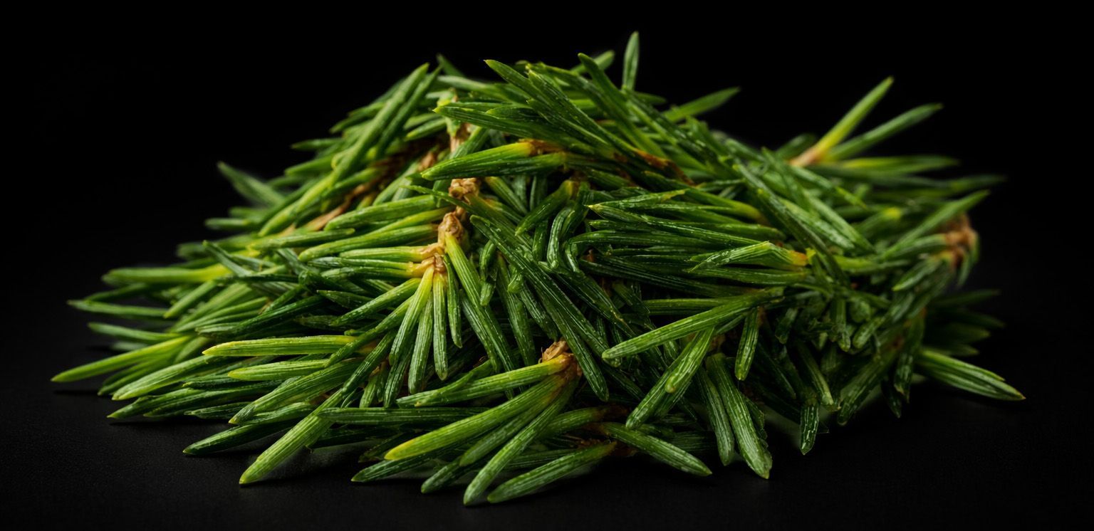 gutter guard manufacturer
gutter guards
gutter guards for sale
highest rated gutter guards