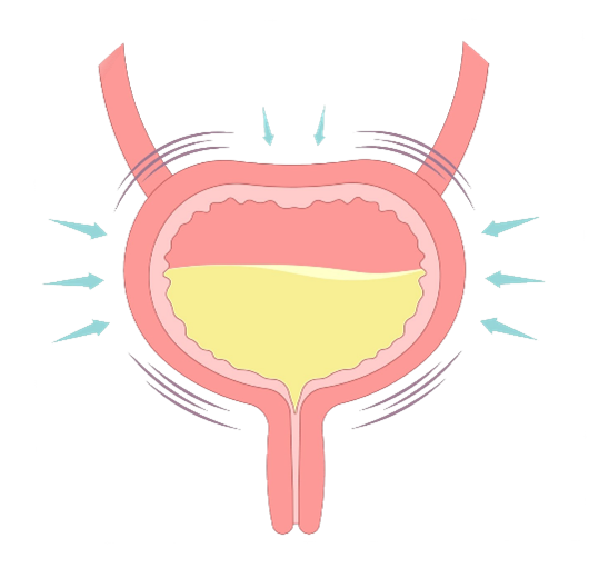 Incontinence urinaire