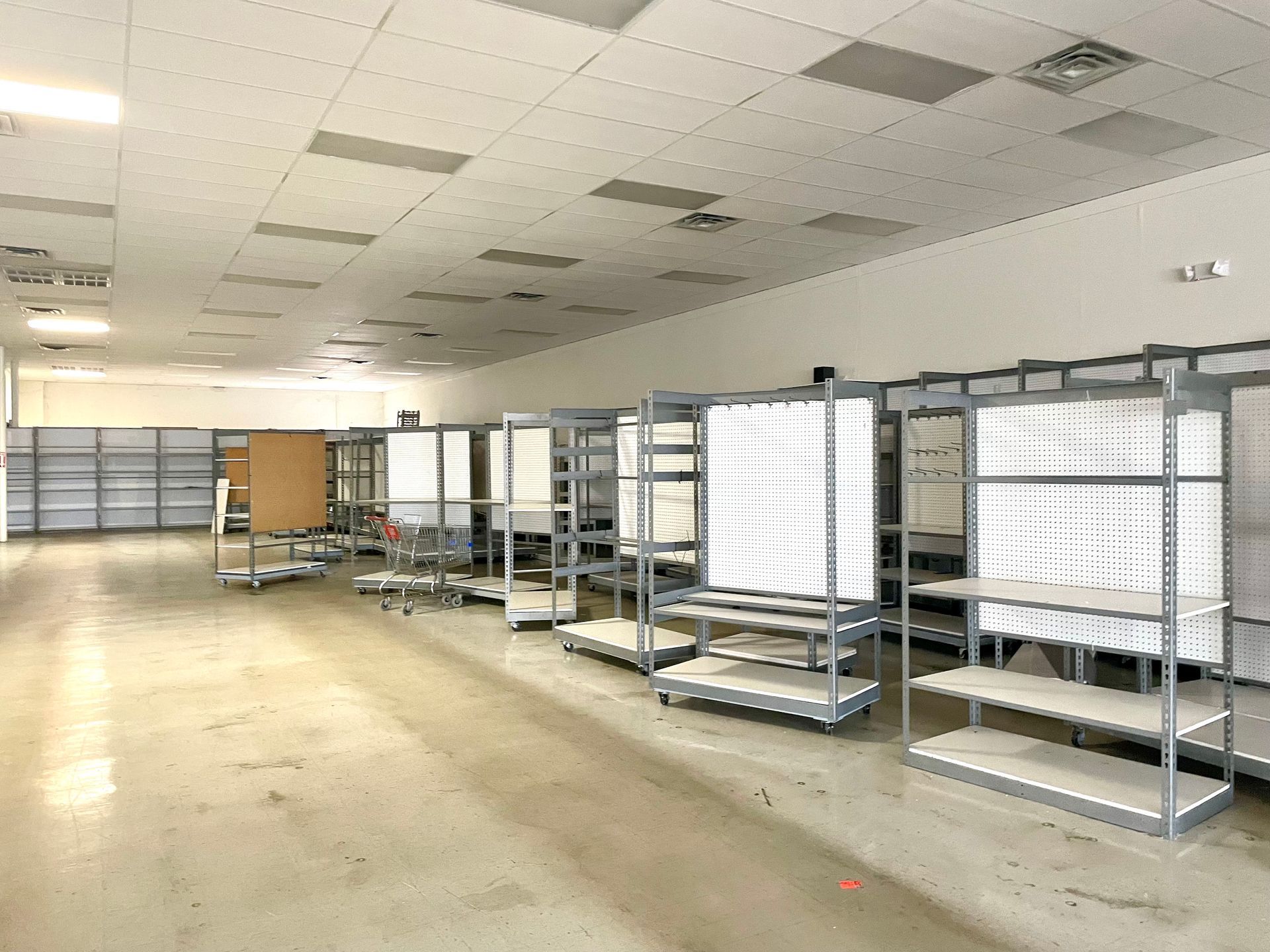 A pile of trash is laying on the ground next to a tree.