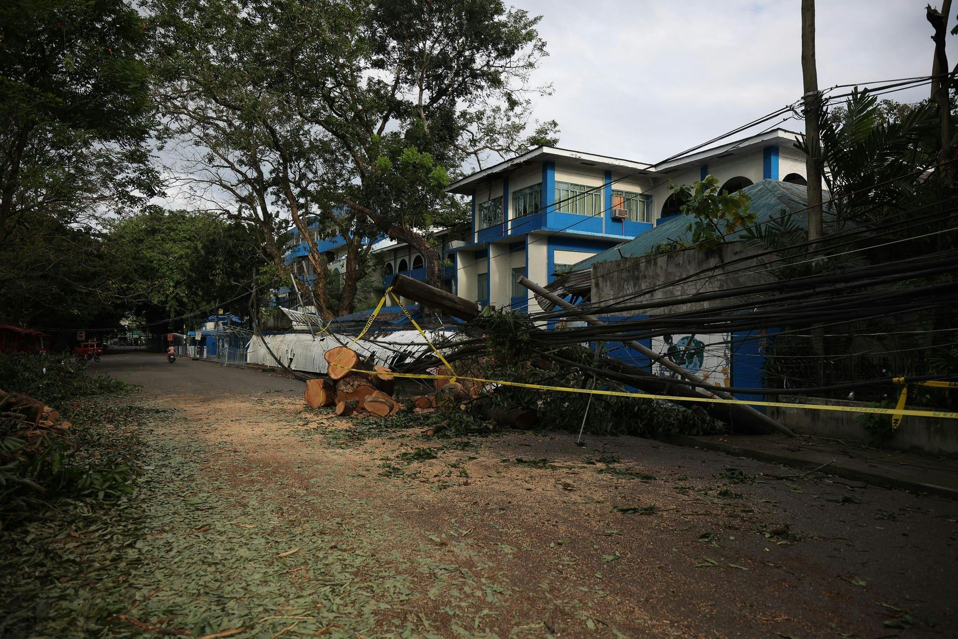 A tree is laying on the ground in front of a building.