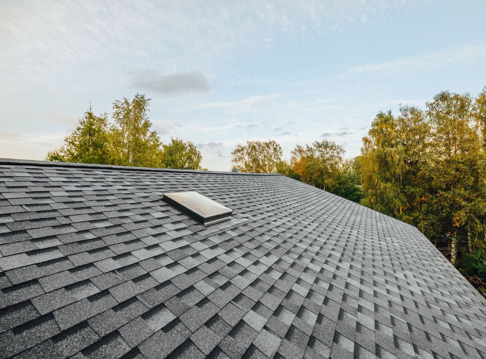 Asphalt shingle roof with a skylight, set against a sky with trees in the background.