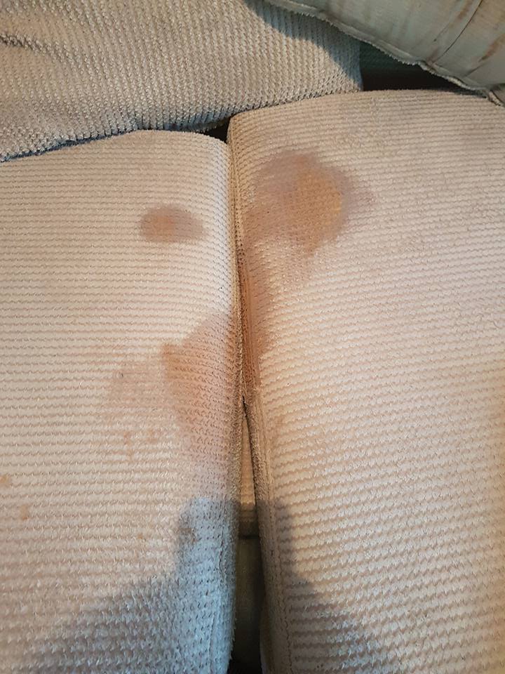 5 Star Cleaning 9