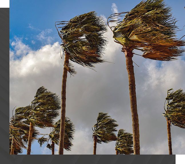 Wind Mitigation Homeowner's Insurance | Roof Smart Florida Roofing Company