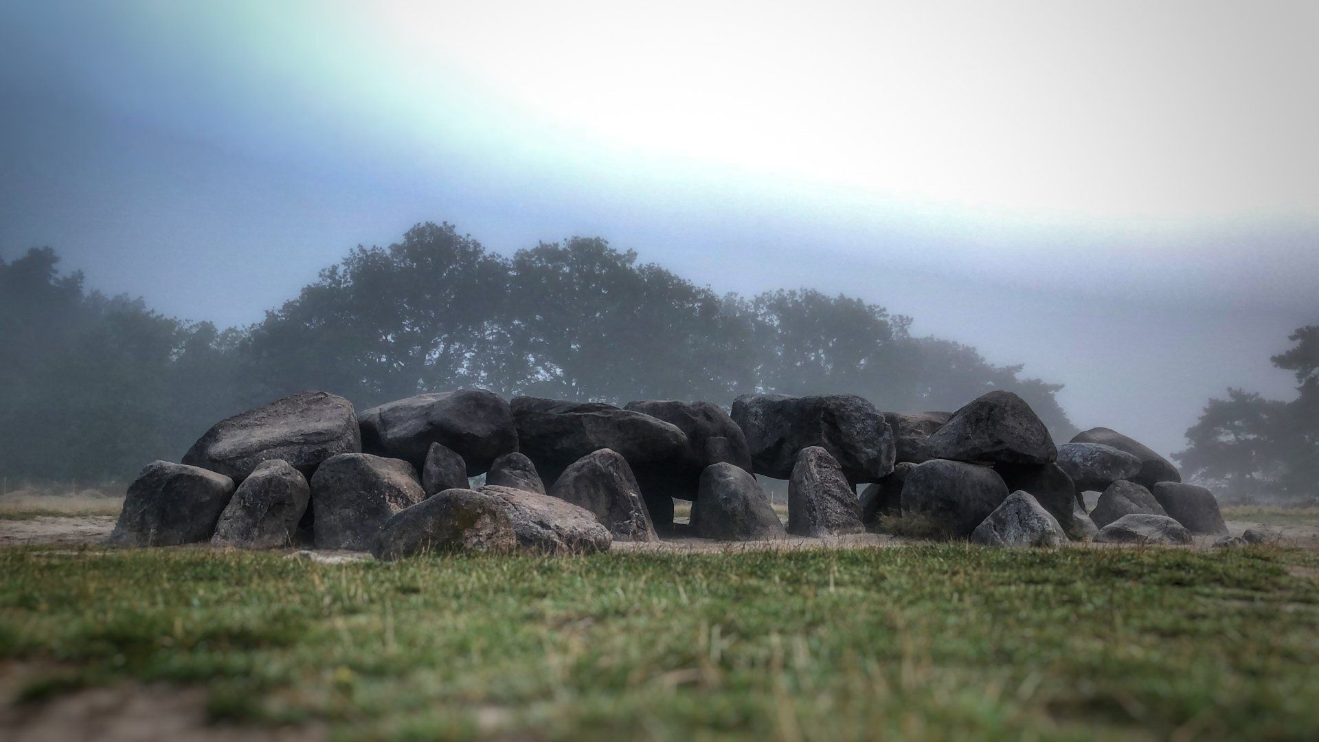 Een Drents hunebed midden in een grasveld met bomen op de achtergrond.