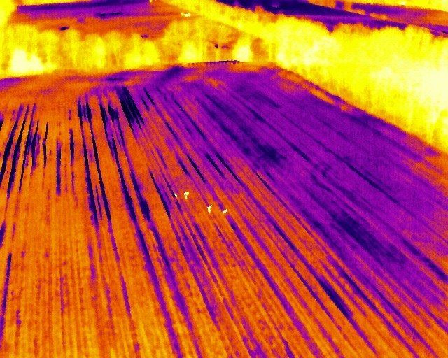 Een thermisch beeld van een veld met bomen op de achtergrond.