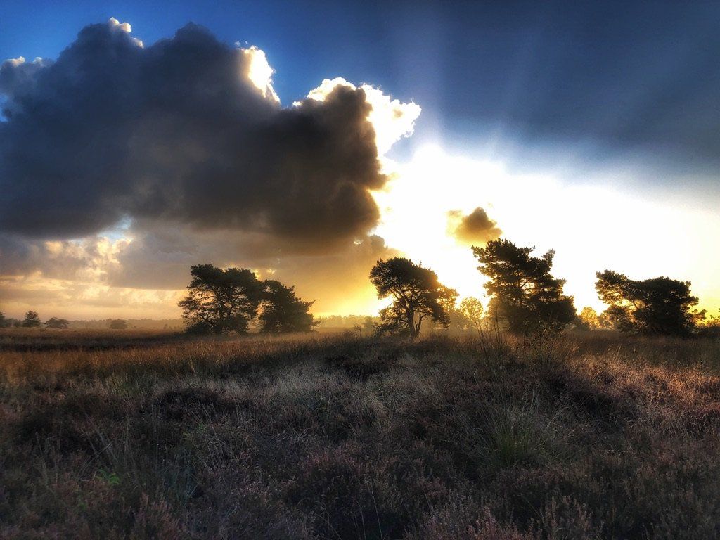 De zon schijnt door de wolken boven een veld