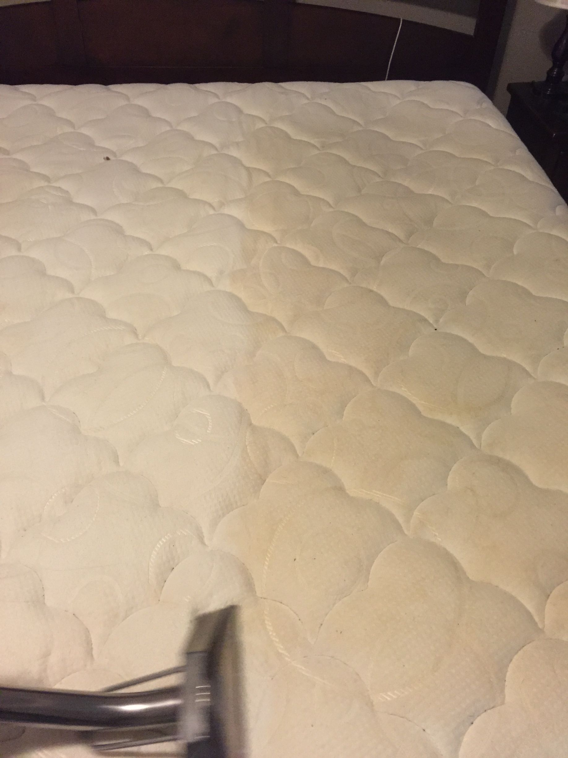 A person is cleaning a mattress with a vacuum cleaner.