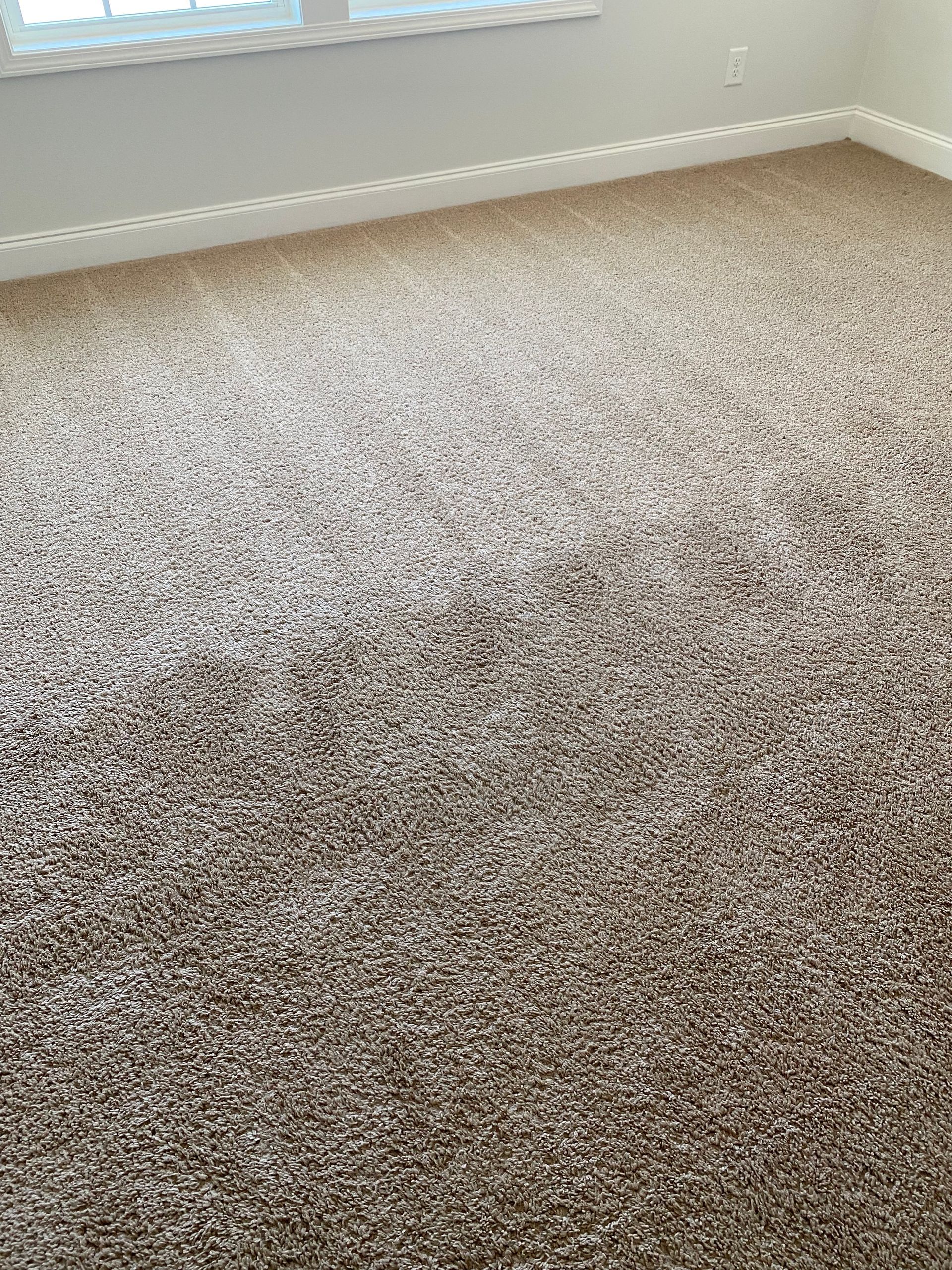 A bedroom with a large carpeted floor and a window.