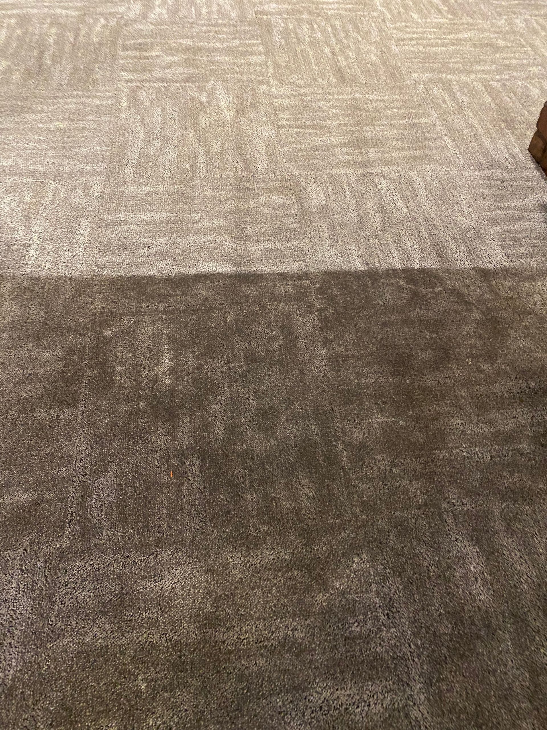 A close up of a rug on a carpeted floor.