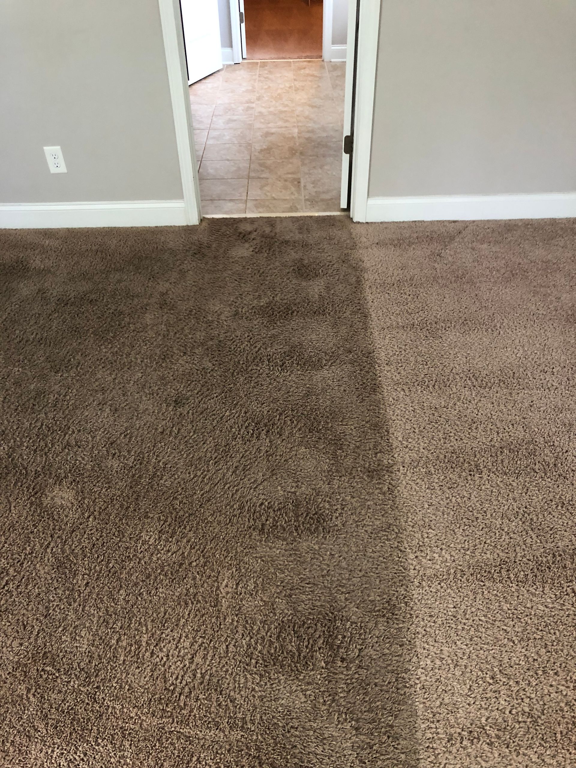 A room with a brown carpet and a doorway leading to another room.