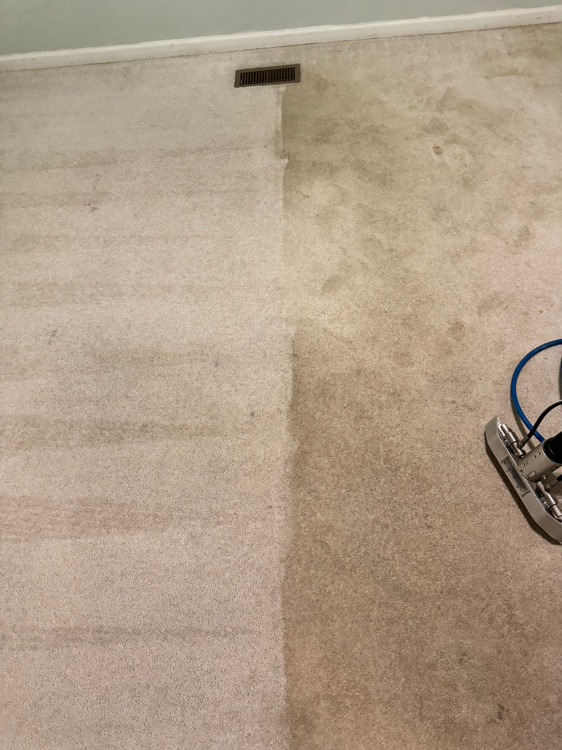 A carpet is being cleaned with a machine in a room.