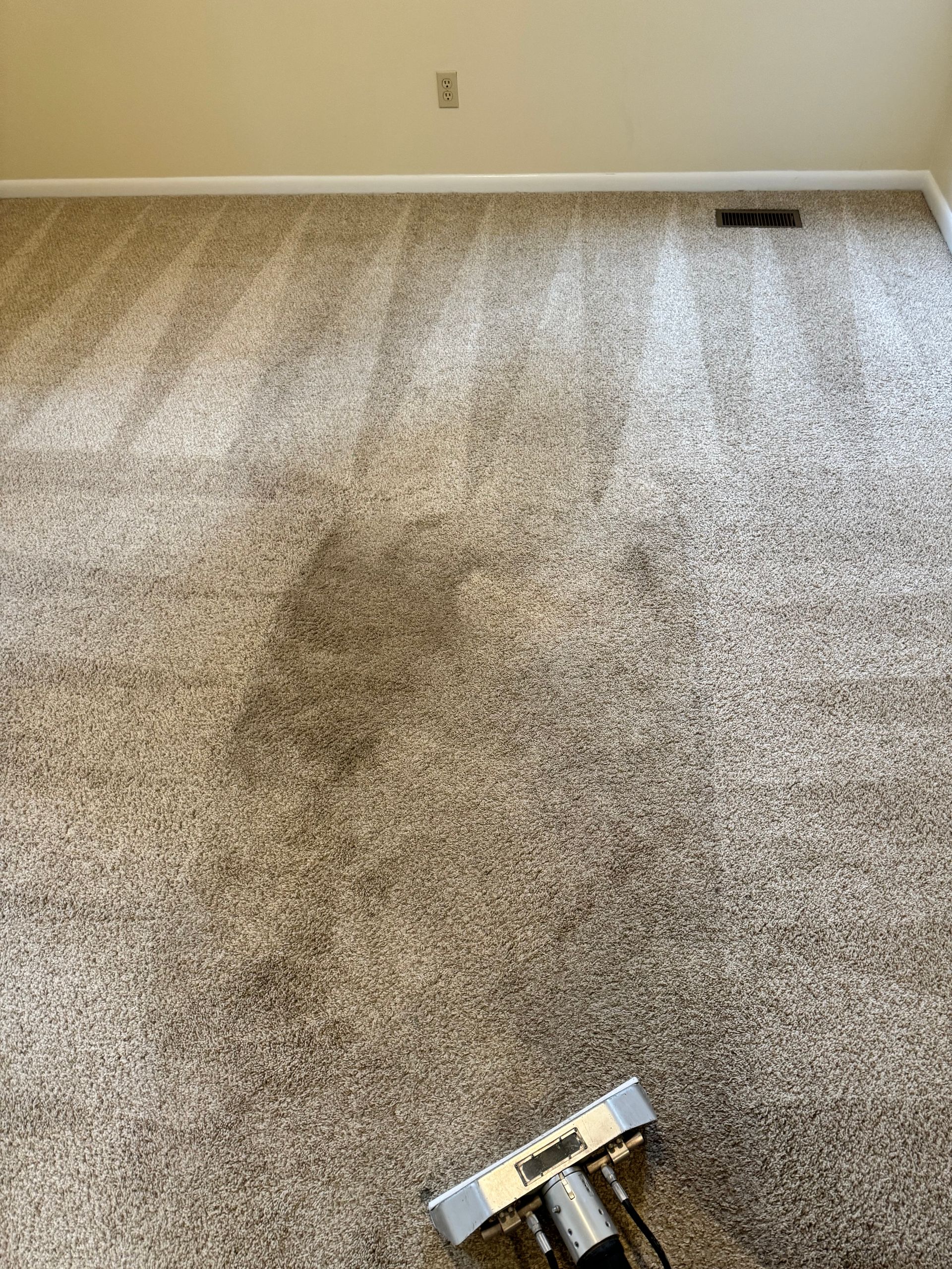 A vacuum cleaner is sitting on top of a carpet in a room.